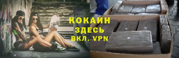 PSILOCYBIN Волоколамск