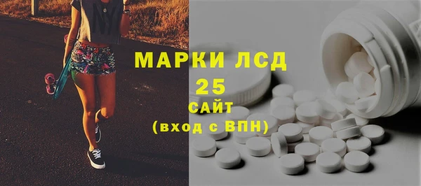 сатива Бородино