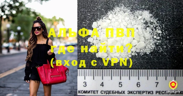 сатива Бородино
