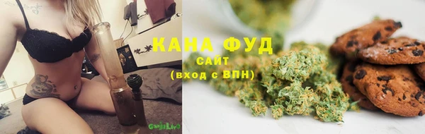 индика Володарск